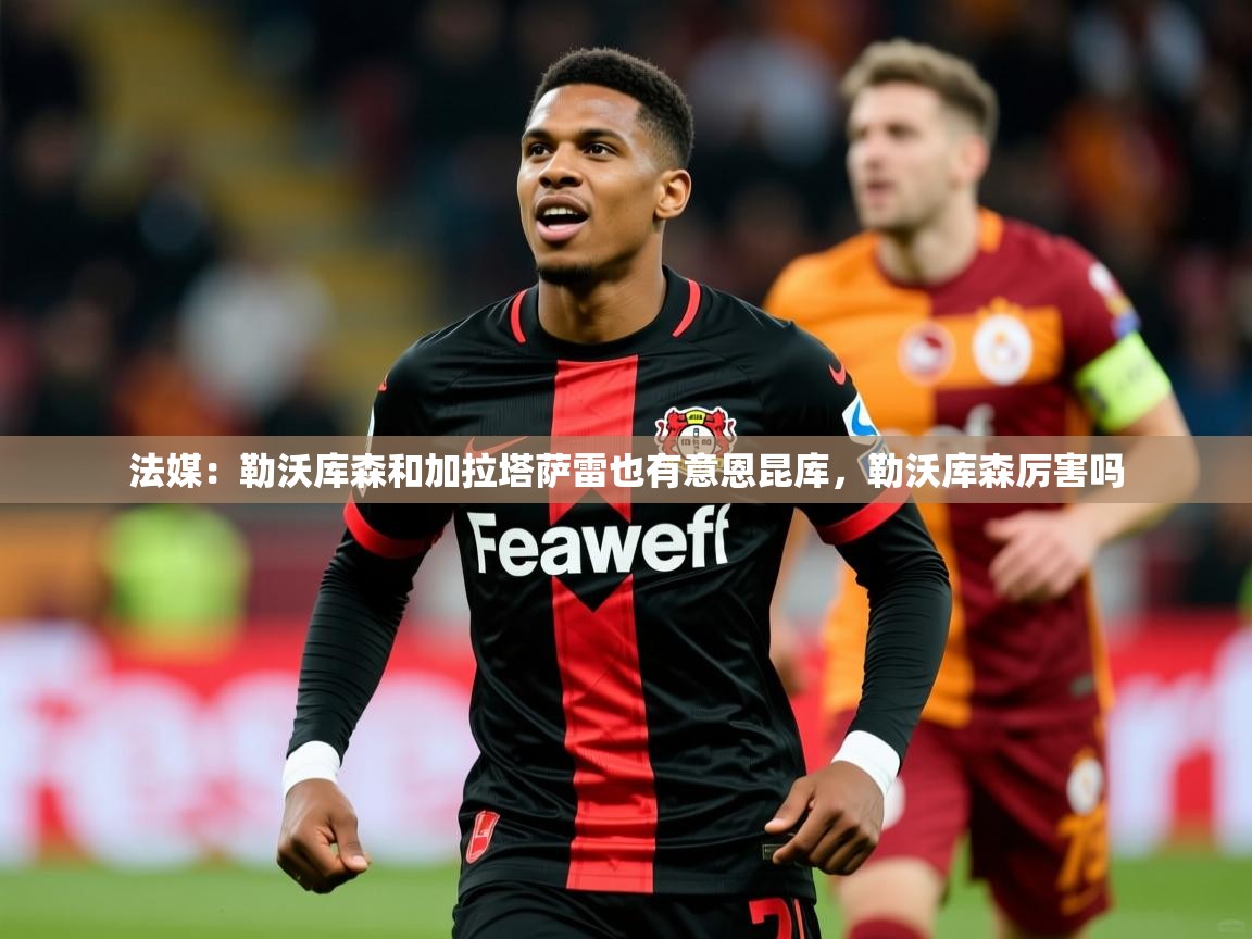 2025九娱游戏官网入口法媒:勒沃库森和加拉塔萨雷也有意恩昆库,勒沃库森厉害吗 第4张